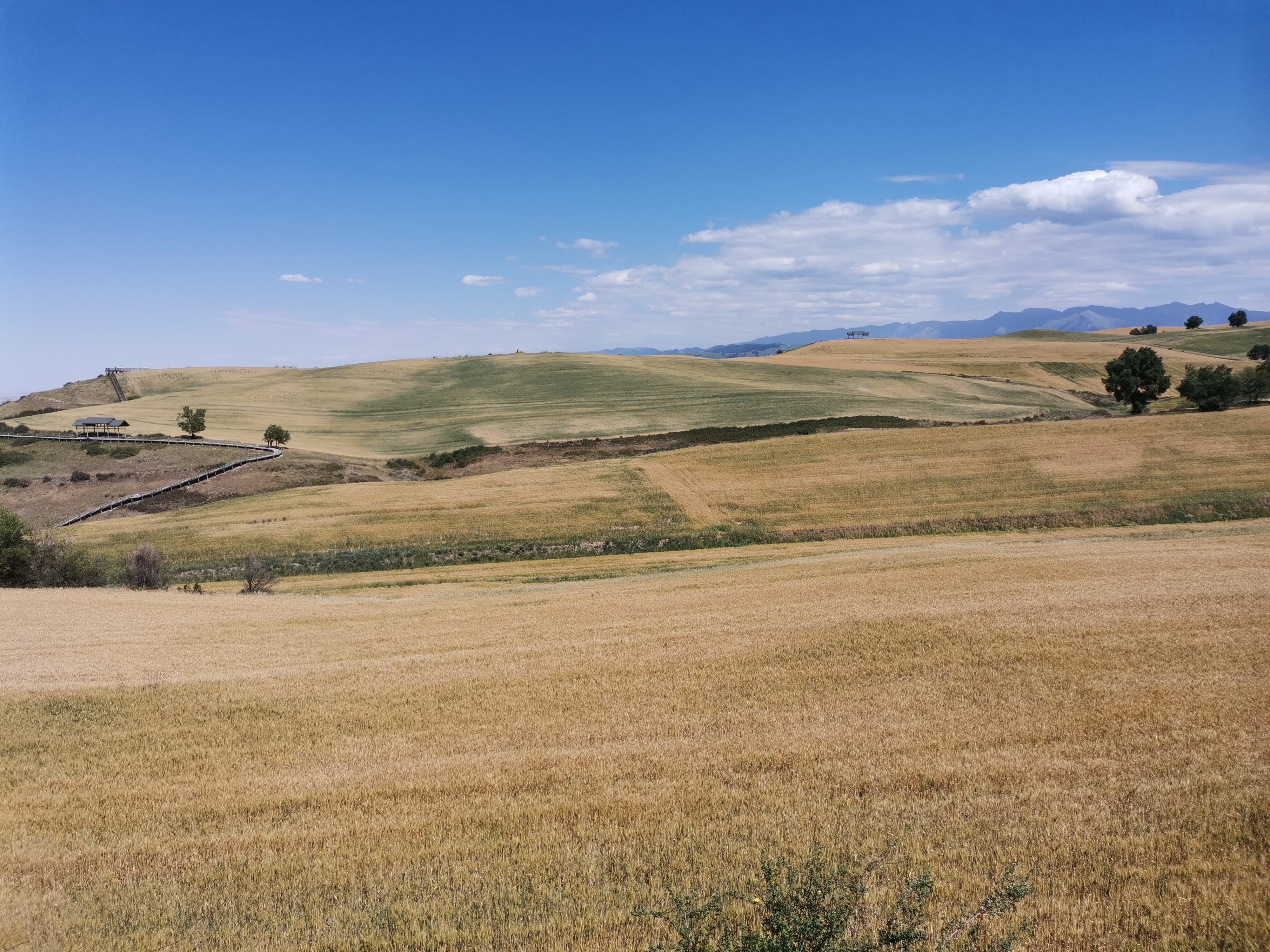 江布拉克自驾游攻略两天一夜,自驾一家三口四天三晚自由行攻略