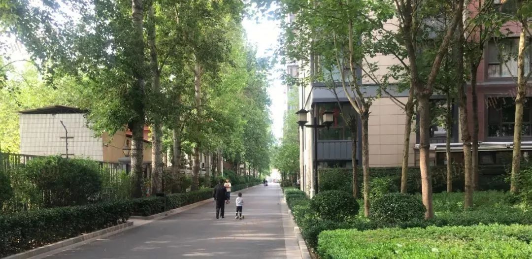 实探44中学区房,实探二手学区房