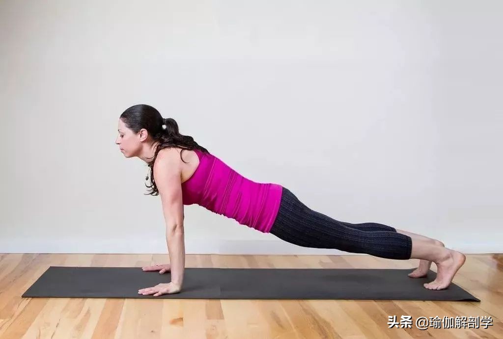 仰卧根基建立的瑜伽体式,瑜伽根基稳定系列体式