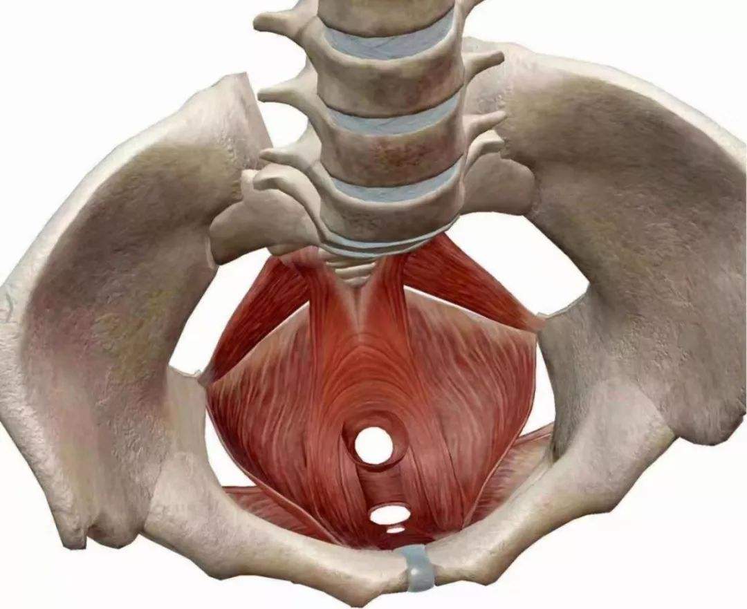 为什么杨幂生完小孩变漂亮了,杨幂生完孩子为什么那么瘦