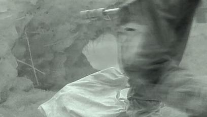 真正的狼灭：美国农场主一夜*击狙**45只郊狼，全套黑科技开挂了