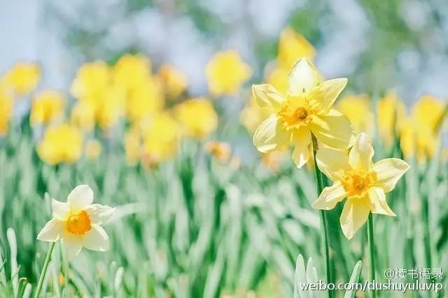 源自古诗的经典成语,诗词优美的成语