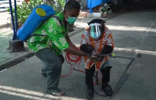 帅哥裸露卖榴莲、猩猩骑车消毒，疫情下的泰国又搞笑又心酸