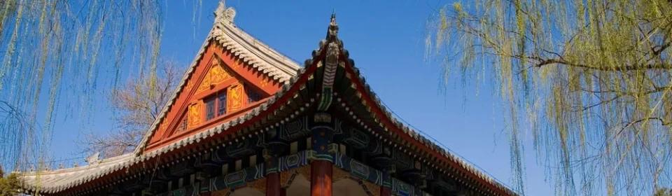 北京青鸟同文实验学校,杭州湾北京青鸟同文实验学校学费