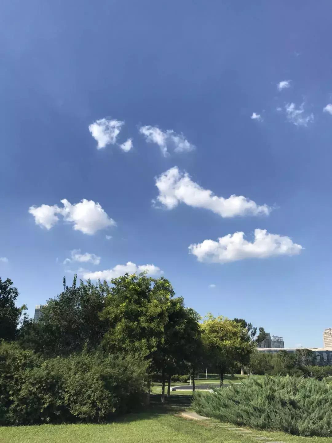 天津哪几个博物馆一定要去,必去天津各大博物馆