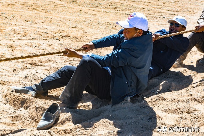 美丽青海，秋收的季节都兰红了，爆汁鲜甜的枸杞有小拇指大小