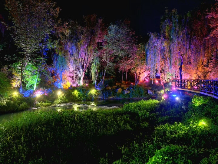 1130是什么星座,1134是什么星座