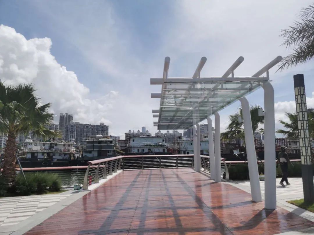 深圳新添大型高颜值公园,深圳最近新开放的公园