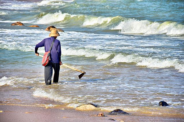 那琴湾地质海洋公园夜空,那琴湾海边
