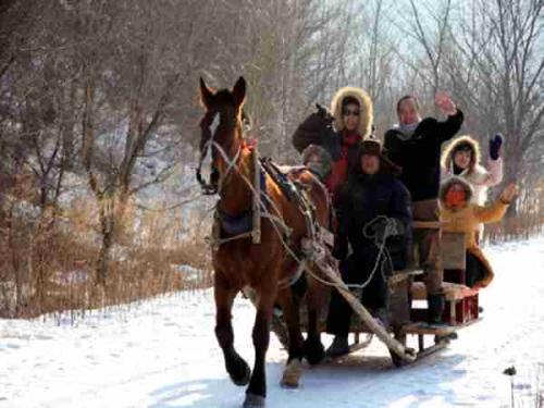 小马拉大车的日本电影,小马拉大车真人