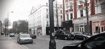 这只鹦鹉一直以为他是一只猴，所以每天都在重复做这个动作