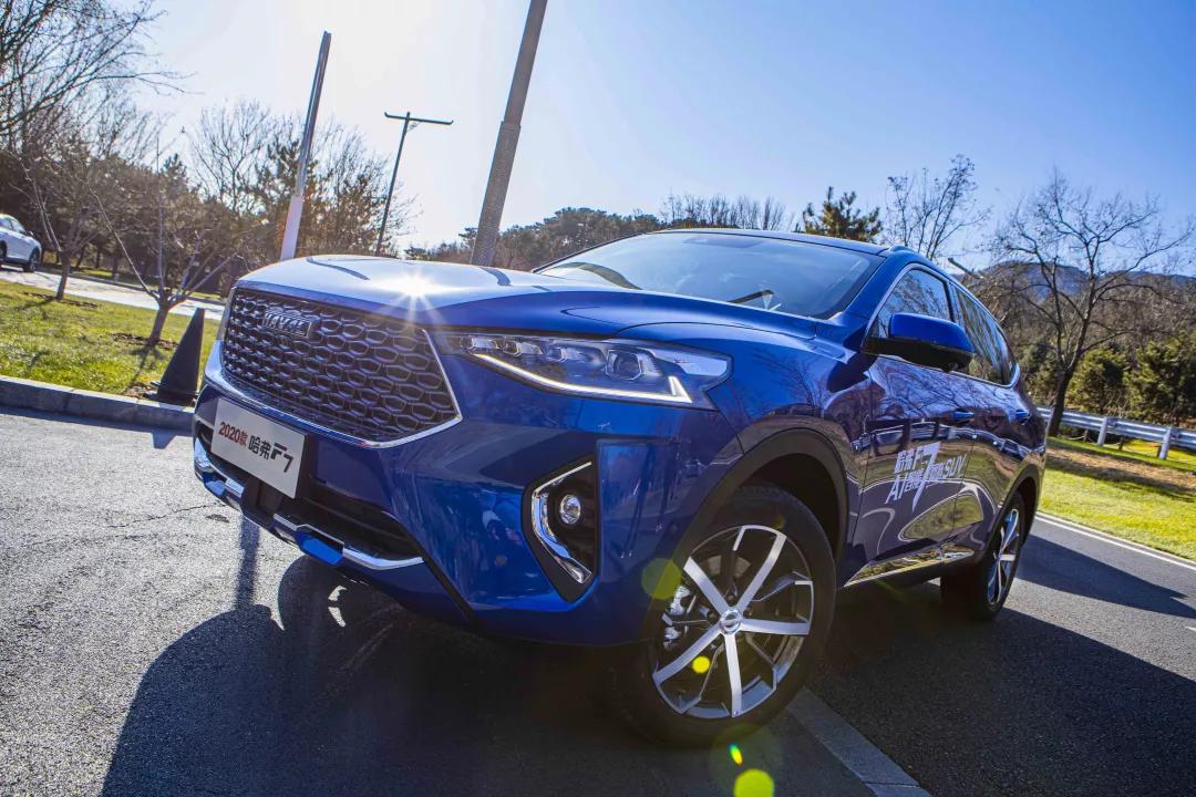 冬季旅行可自驾城市,自驾冬季旅游城市推荐