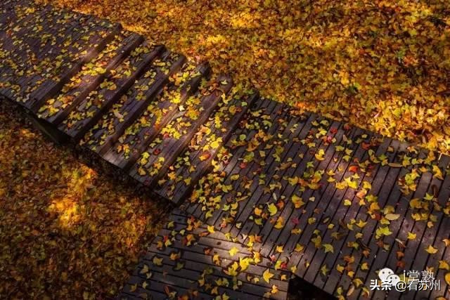 一入秋苏州怎就美成了姑苏,一入秋南京就成了金陵