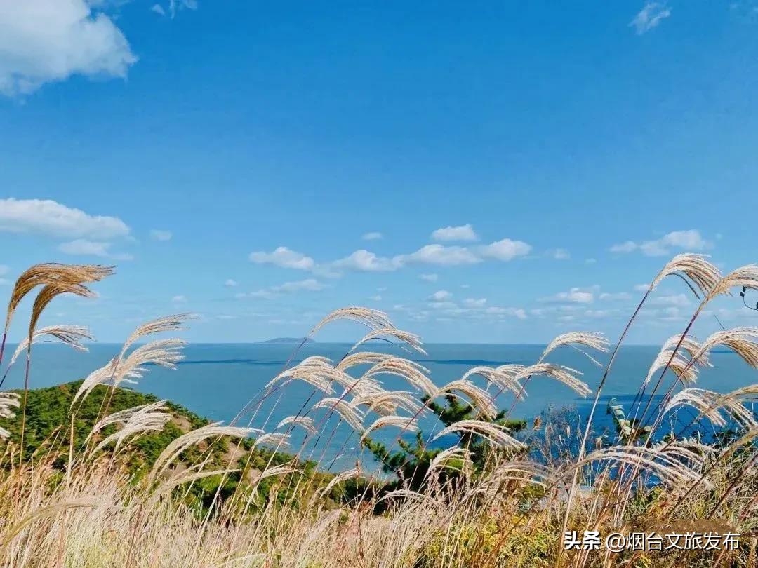 大自然打翻了调色板的唯美句子,烟台自然景点