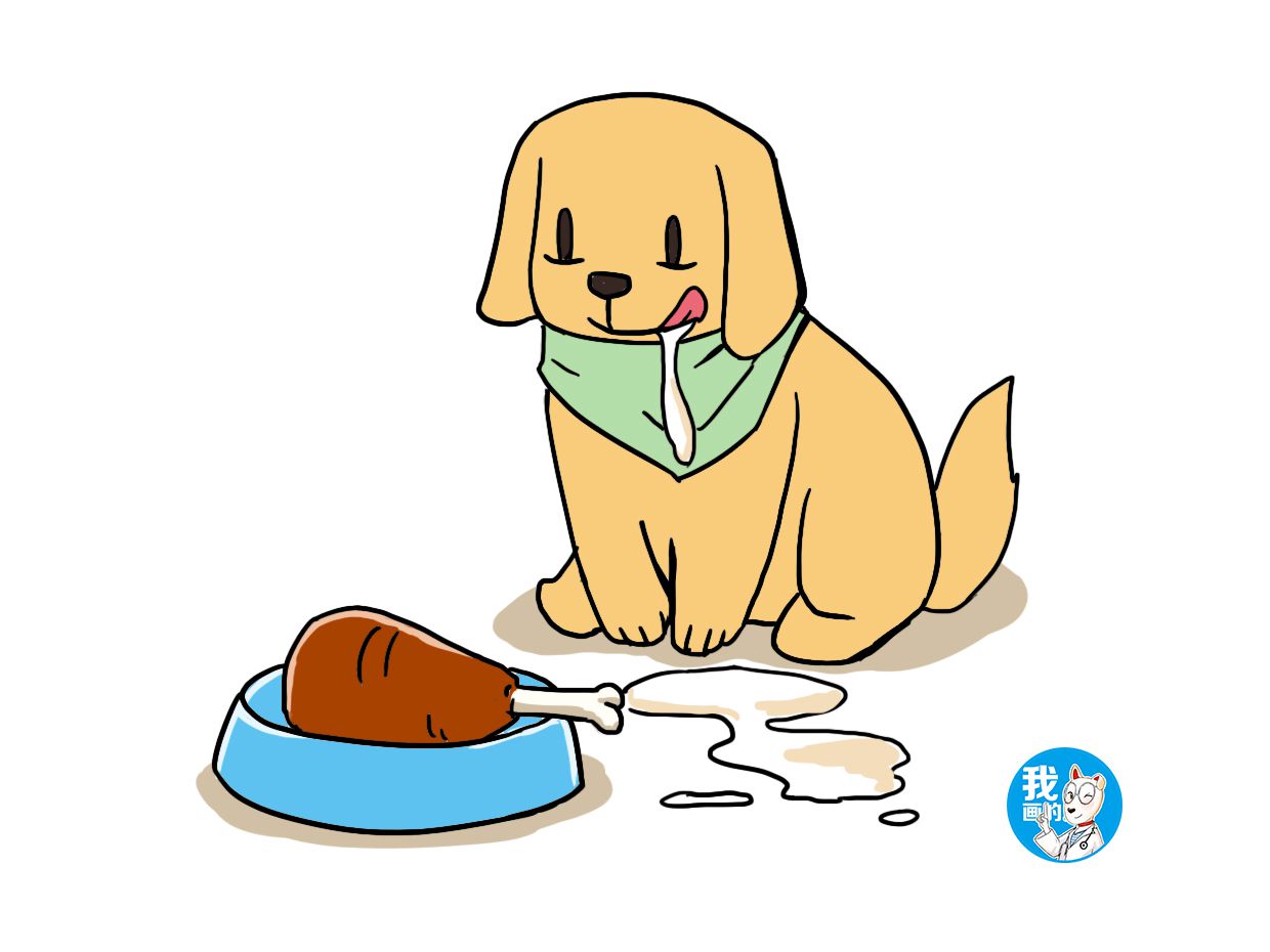 狗狗一直流口水这是什么问题,狗狗一直流口水是不是中毒了