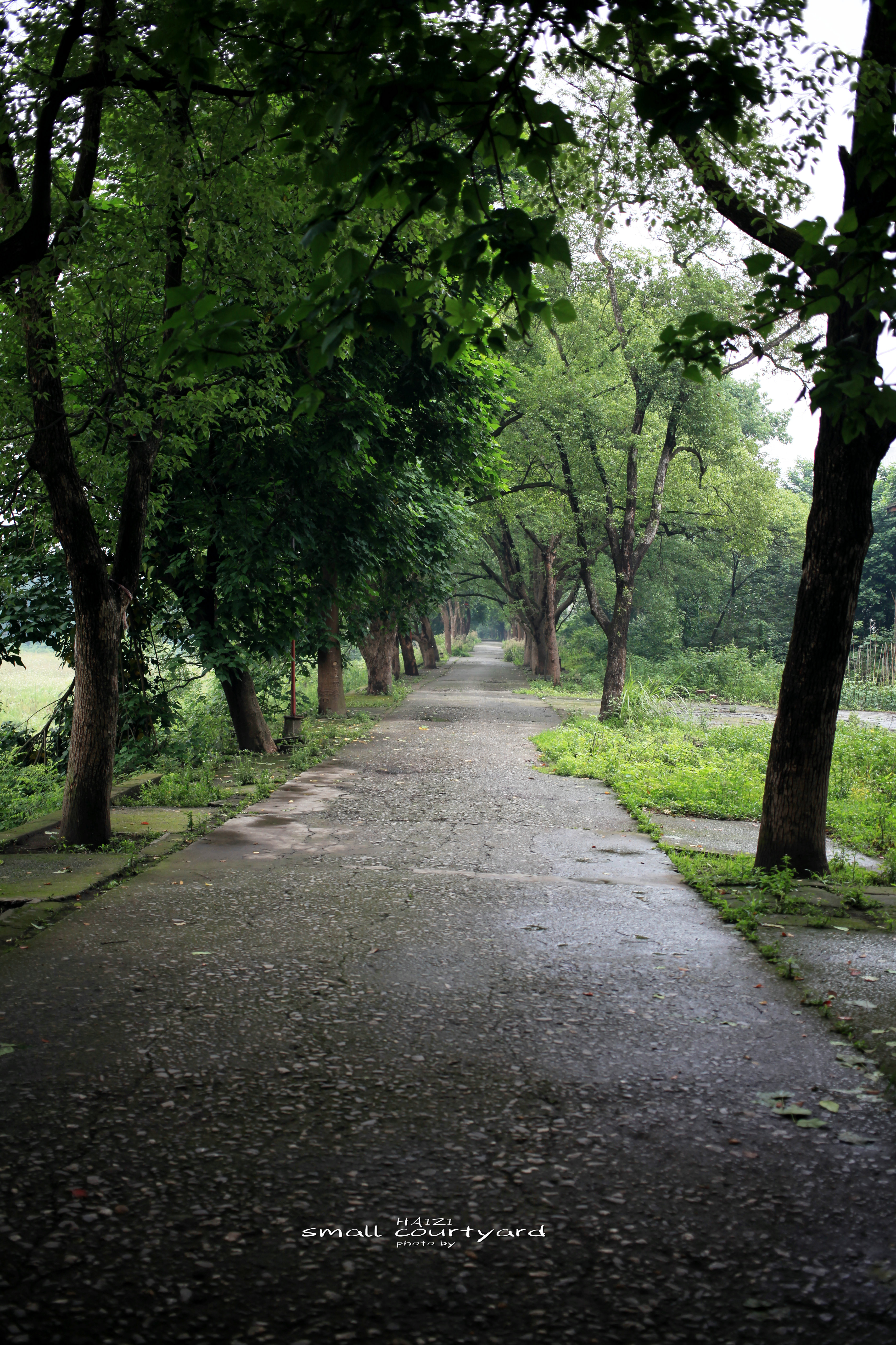 北碚区原三线建设老厂区,北碚机械工业部第三设计院