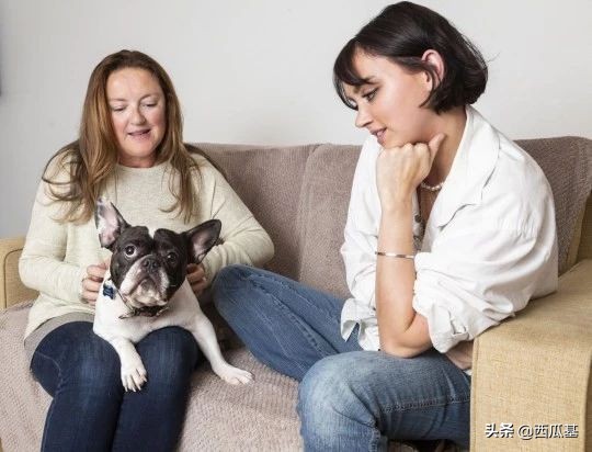 铲屎官法斗,法斗的铲屎官