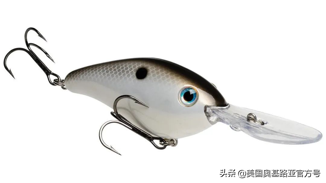 全国渔具展会2021时间表图片,2023国际渔具展会大全一览表