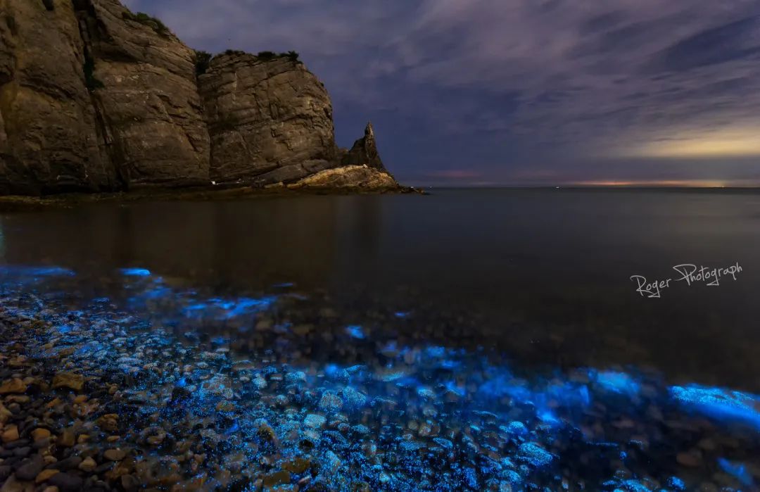 忽然想去旅游了,忽然想去宁波了