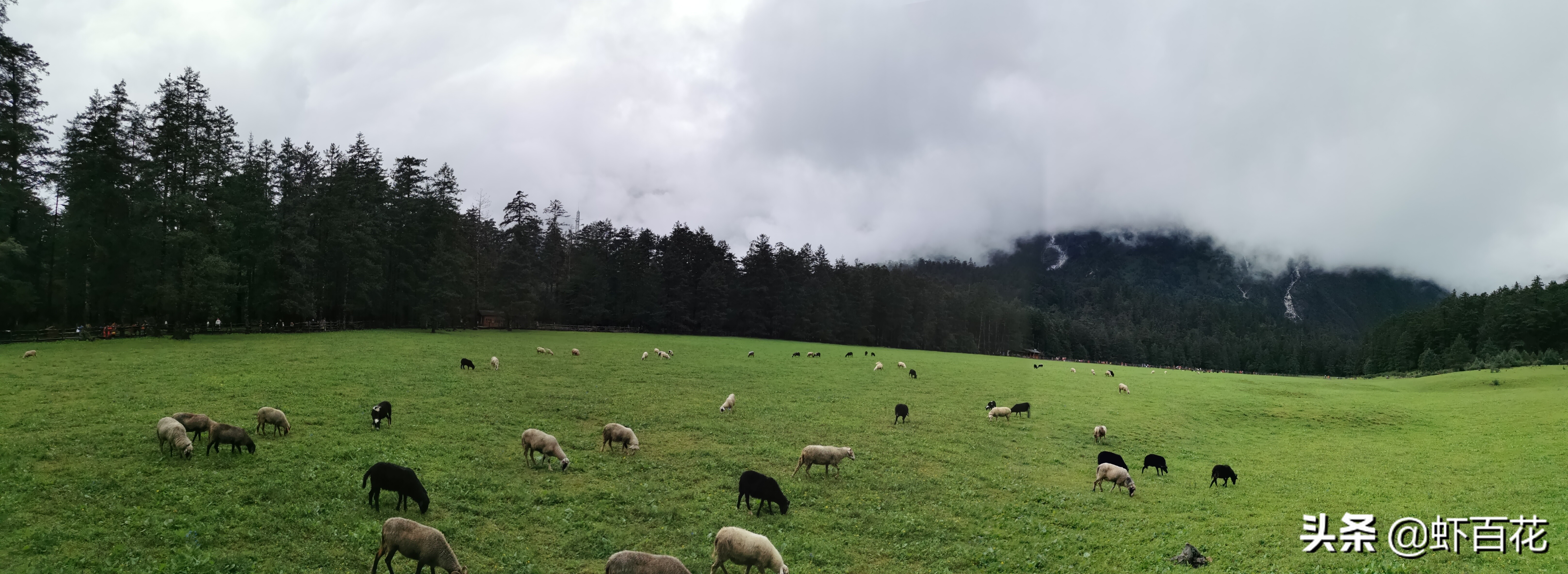 玉龙雪山三个索道一天可以玩完吗,玉龙雪山不坐索道游玩攻略