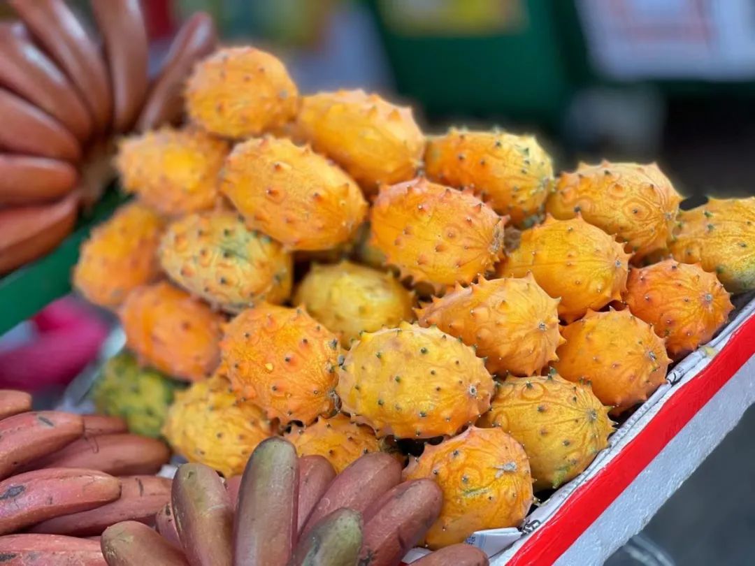 一次惬意的厦门之行,一家三口厦门玩四天