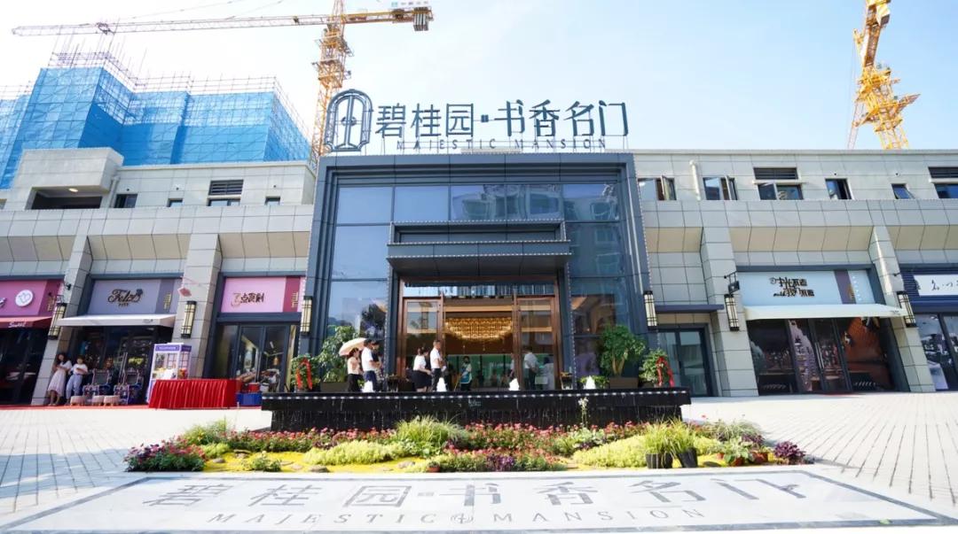 碧桂园南北通透户型讲解,碧桂园120户型分析与大师讲解