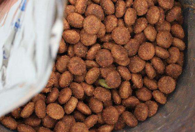 狗粮适口性不好怎么改善,狗粮密封坏了怎么补救