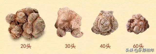 吃三七有助于增高吗,青少年什么时候吃三七最容易长高