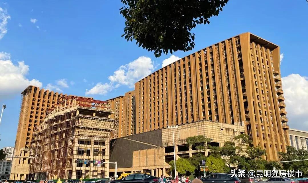 棕树营小区房子最近几年会拆迁吗,奥宸中心二期什么时候复工