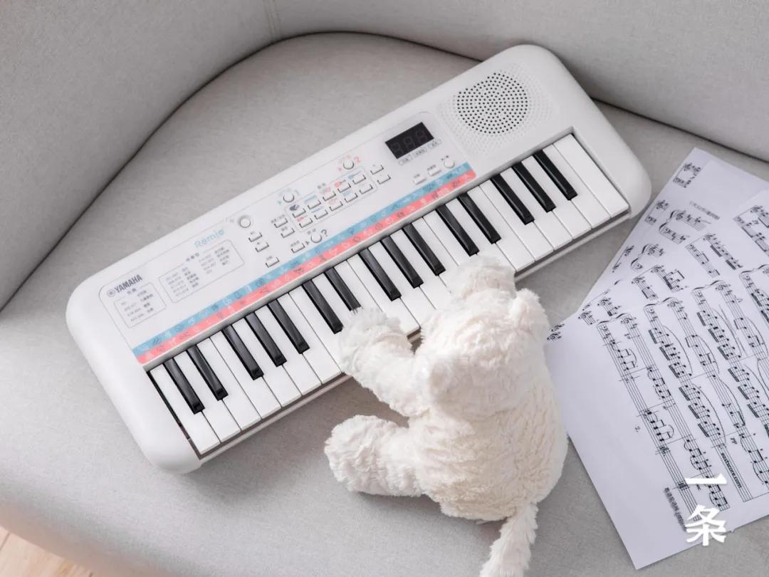 雅马哈自弹自唱的电子琴,目前最好的雅马哈电子琴最大一款