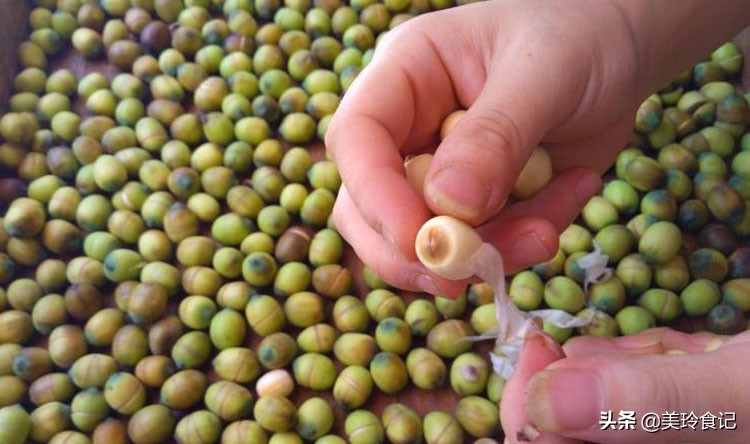 泡莲子的莲子有什么要求,辨别莲子好坏的5种方法