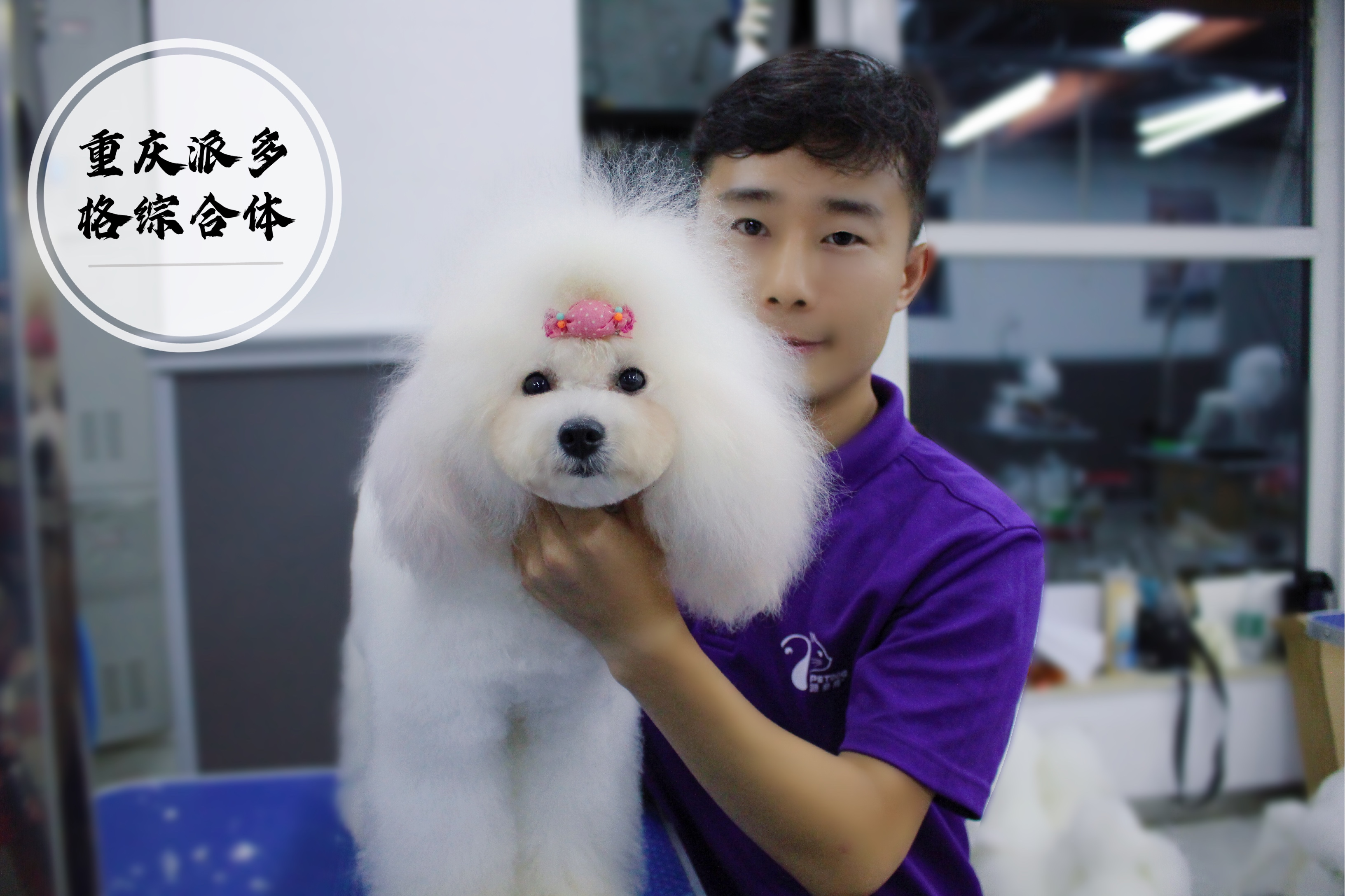 宠物美容师值得坚持吗,宠物美容师招聘学徒靠谱吗