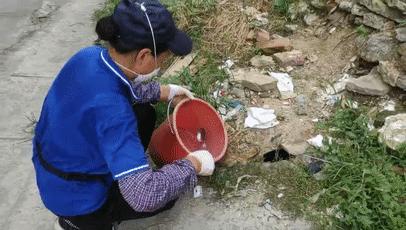 家里老鼠多有什么吓老鼠的神器,防止家里老鼠进屋