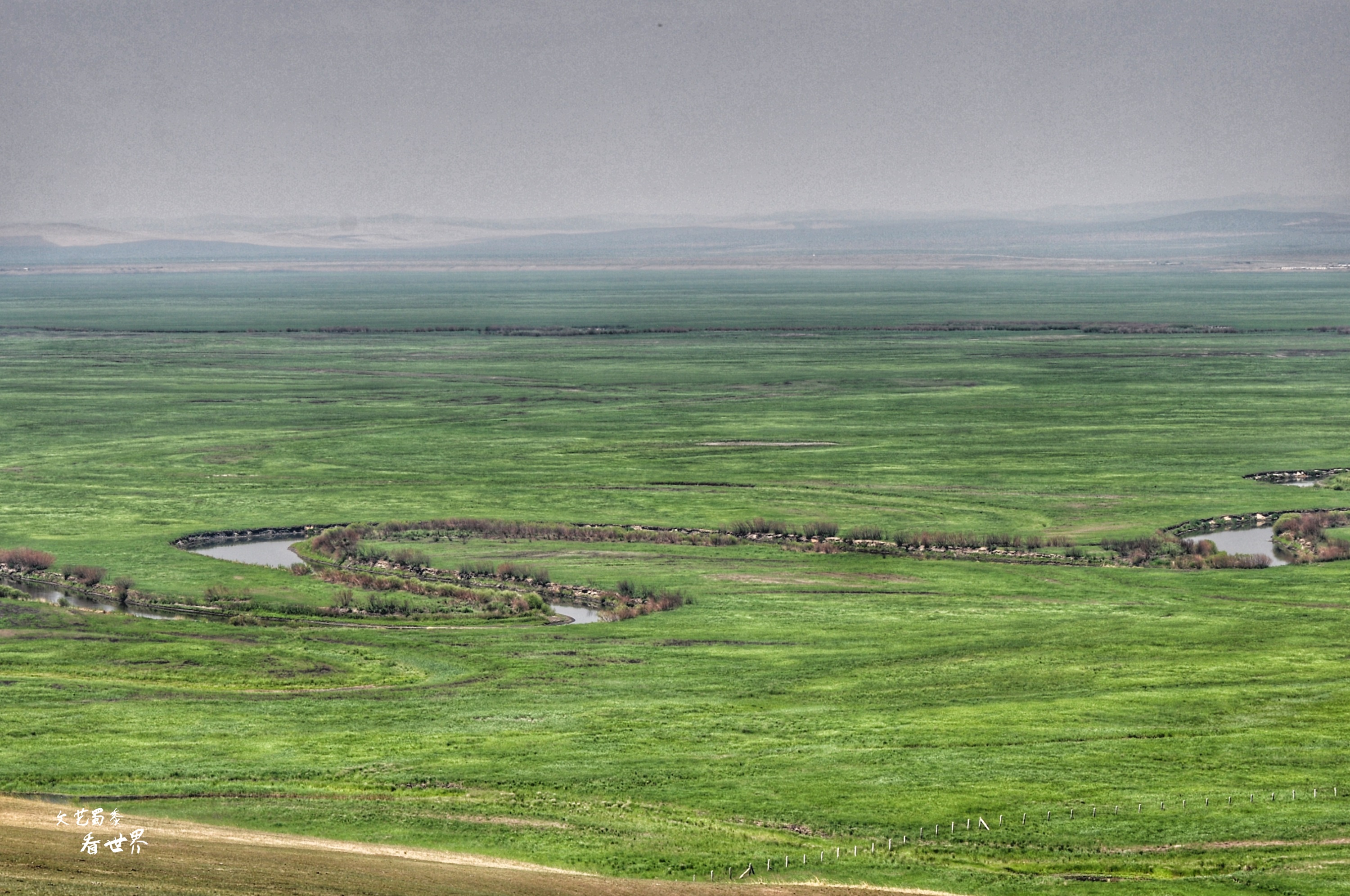 额尔古纳河离呼伦贝尔大草原远吗 (额尔古纳草原深度游)