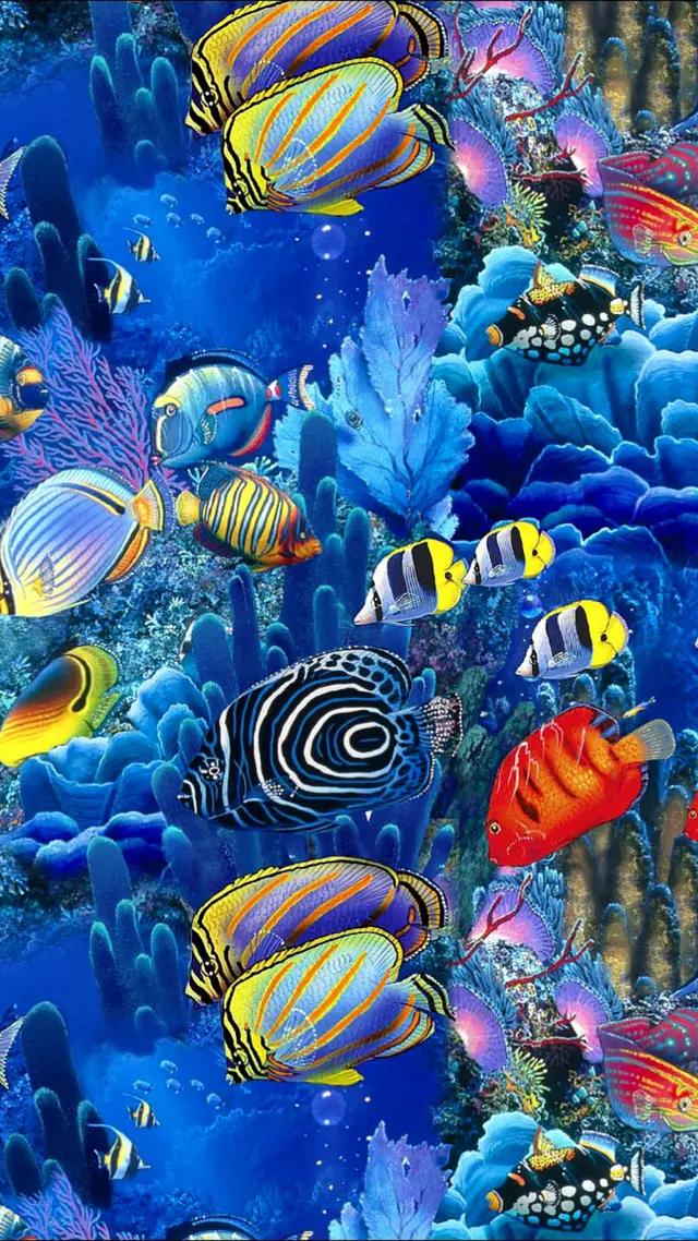高清海底世界壁纸原生态动态,高清海底世界壁纸4k全屏无水印