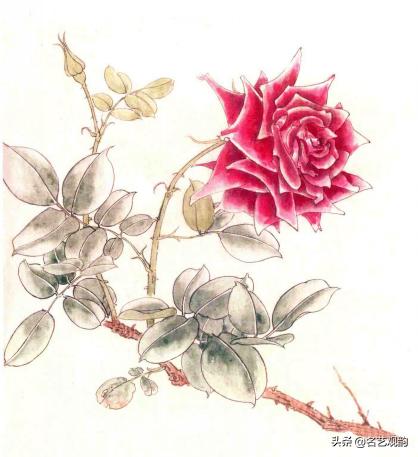 国画月季画法视频教程,工笔月季枝干的画法