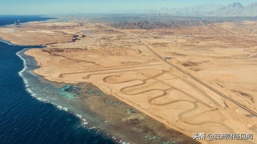 沙特对埃及石油的看法,沙特对红海危机的态度