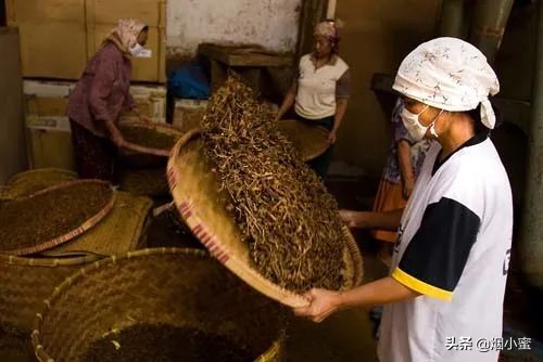 “RCEP”签了！盘点一下成员国的雪茄品牌（下）