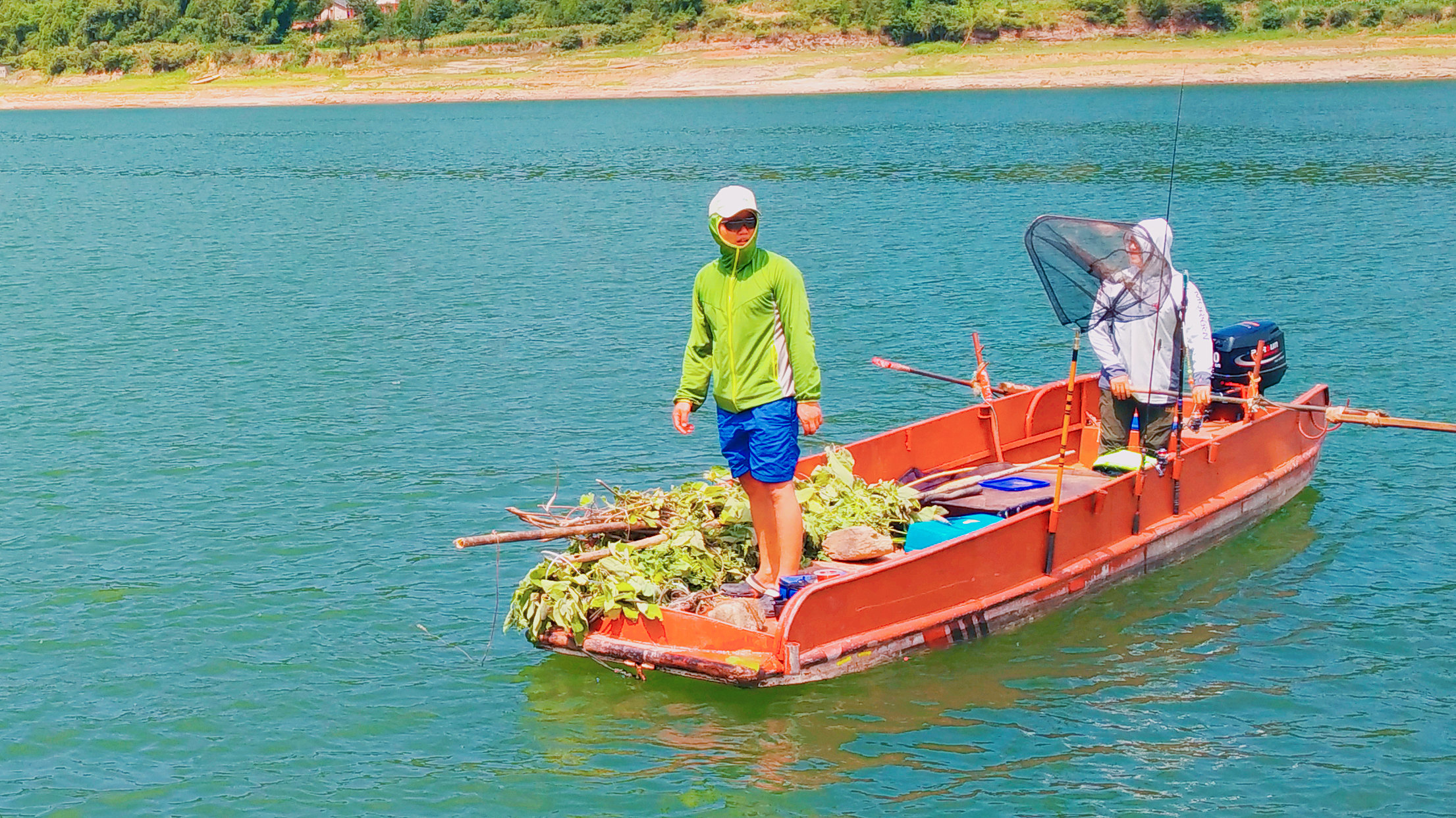 肥水草鱼窝料,综合塘草鱼窝料
