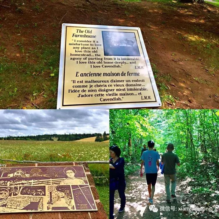 漂洋过海来挖宝,漂洋过海去台湾吃海鲜