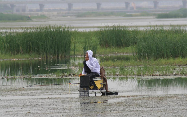 野钓最有效的钓法,懒人钩钓法怎么挂活饵