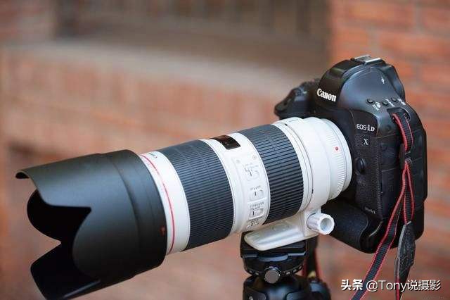 400定焦镜头和100-400变焦镜头,定焦镜头和变焦镜头的成像对比