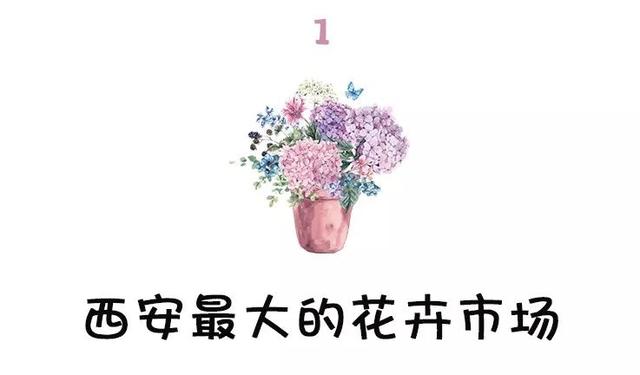 西安三桥附近哪里有花卉市场,西安北二环大明宫花卉市场地址