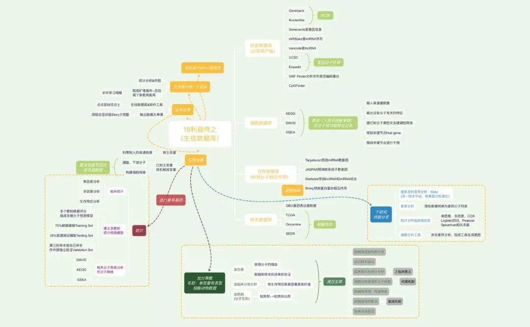 cell画图,cell作图教学