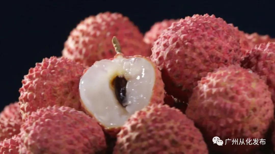 打响广东标准品牌,打响农产品特色品牌