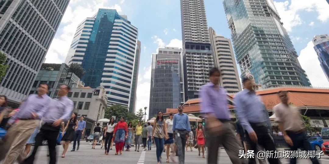 新加坡计算机行业年终奖,新加坡行业薪资排行榜