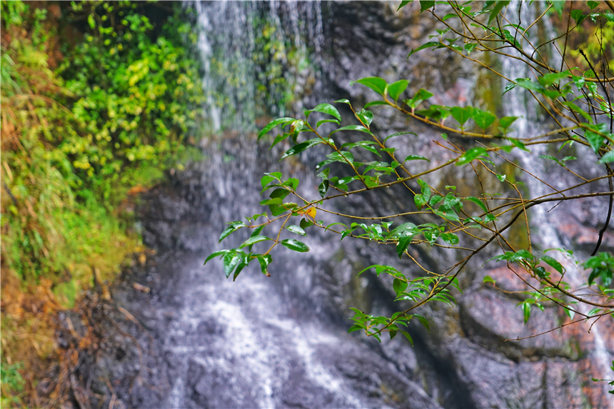 江南水乡旅游攻略四天三晚,温州旅行攻略四天三夜