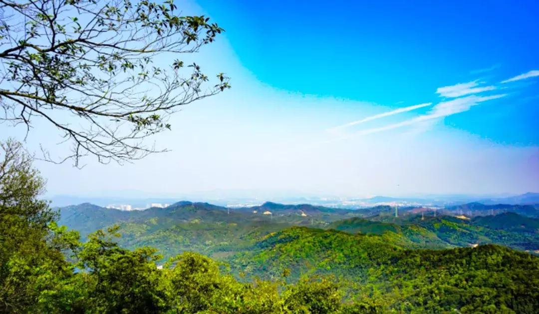 广州白云发达,广州白云区的发展前景怎么样