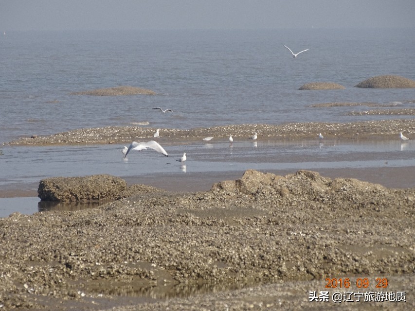营口黄金海岸沙滩,营口北海海滩攻略