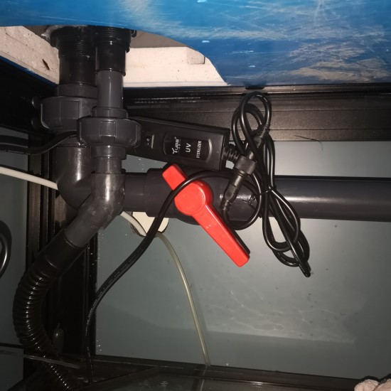 用什么可以解决鱼缸水质,鱼缸过滤水声噪音大怎么解决